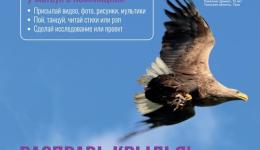 Экология - дело каждого!