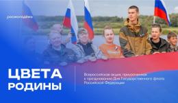 ЦВЕТА РОДИНЫ