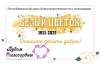 Белый цветок - 2025