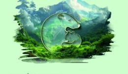 Экология - дело каждого!