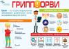 Профилактика ГРИППА и ОРВИ